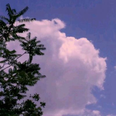 挂机那三国破解版下载